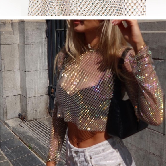 🍹NWT ZARA BLOGGERS FAVORITE favorite Shimmer Mesh Crop Top size small - Picture 8 of 11